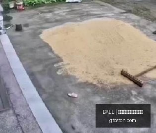 极石汽车里,程碑,万辆整车达,买球资金管理,BALL买球风控,投注技巧,官网指导